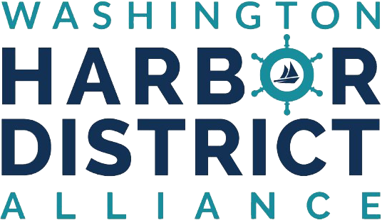 Downtown Washington Logo